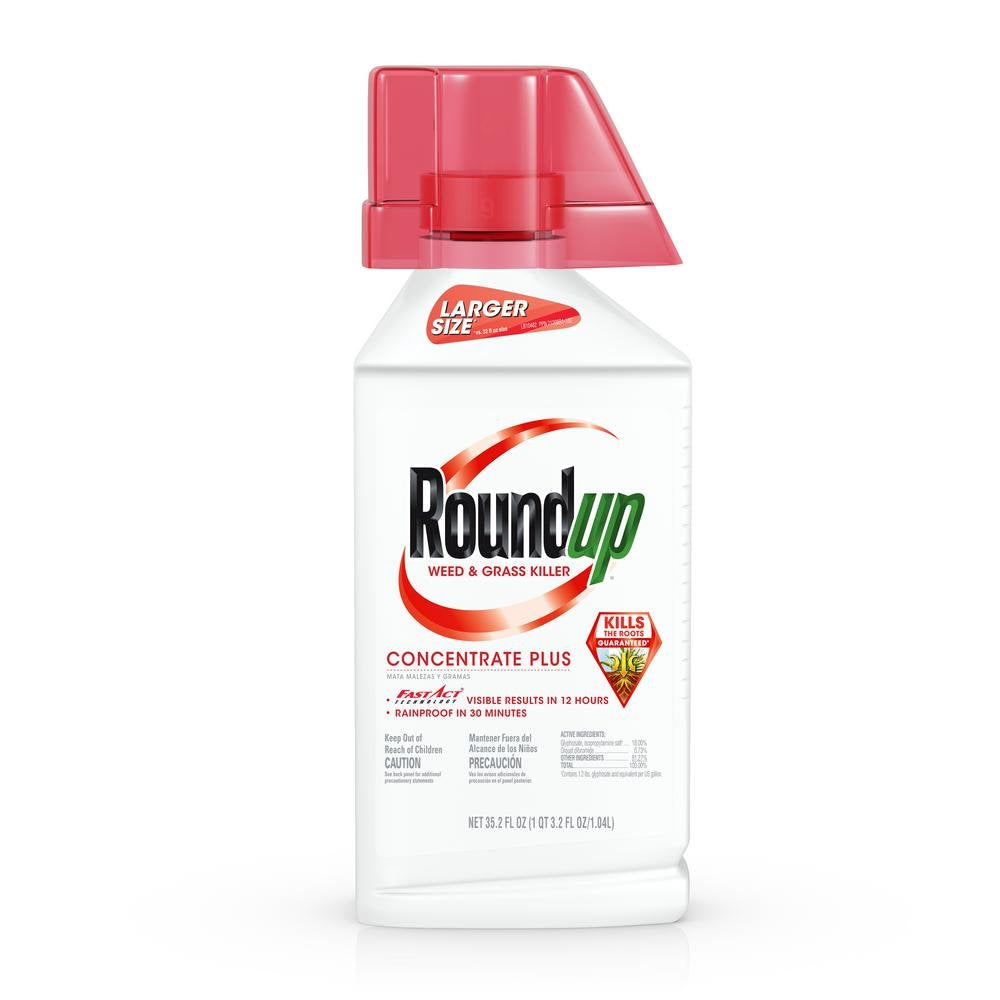 Weed and Grass Killer Concentrate G169