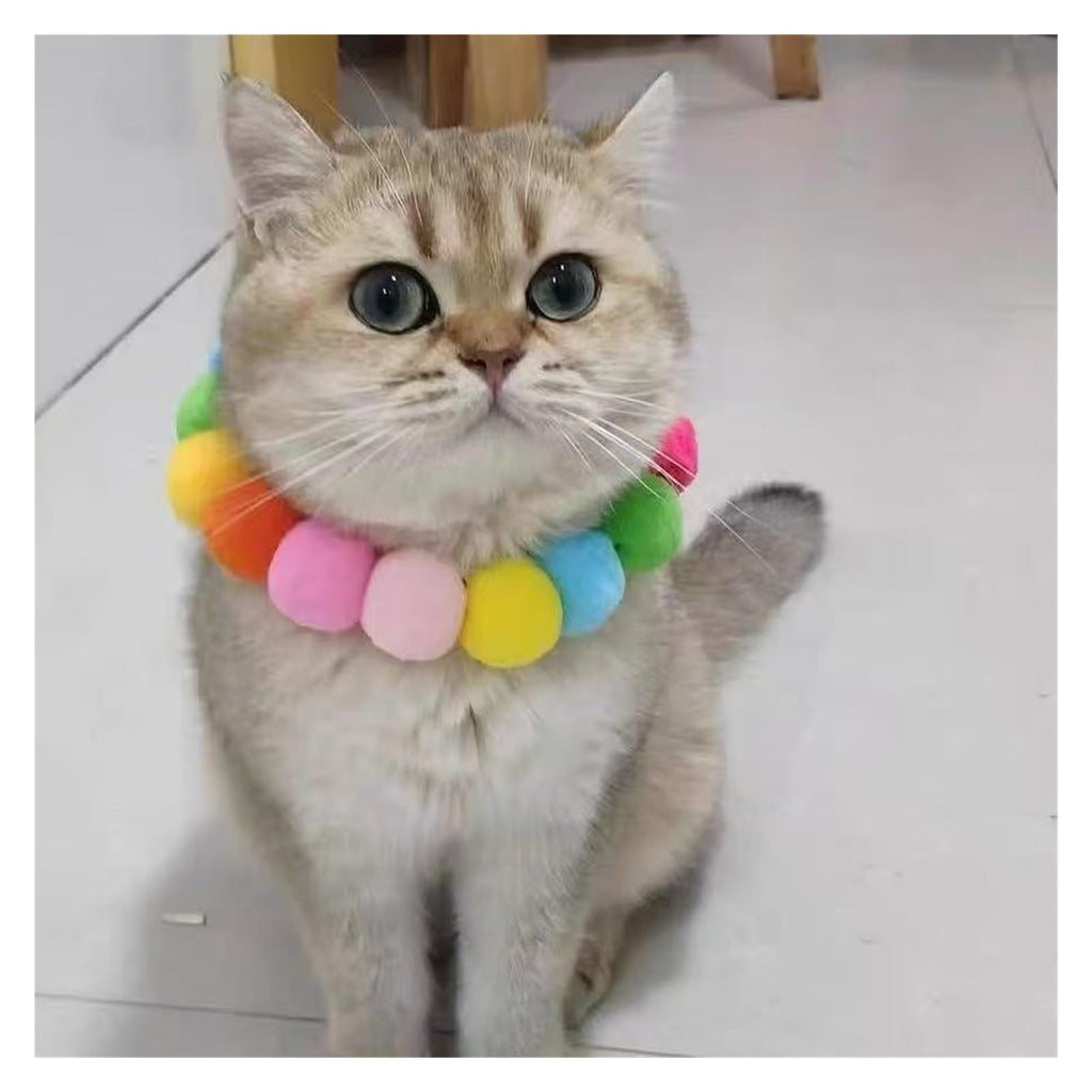 Dog Bow Tie Collar M2734