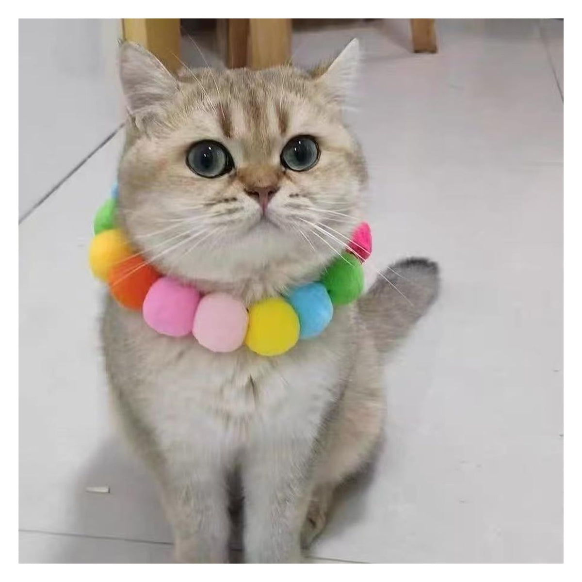 Dog Bow Tie Collar M2734