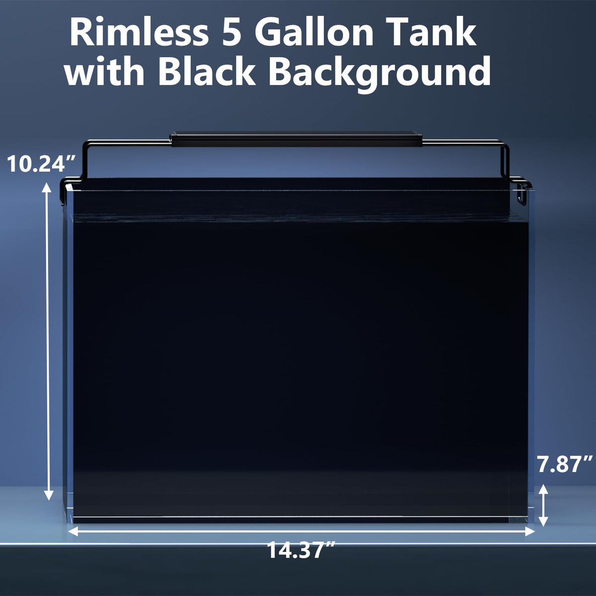 5 Gallon Glass Fish Tank Kit with Filter Light M2041