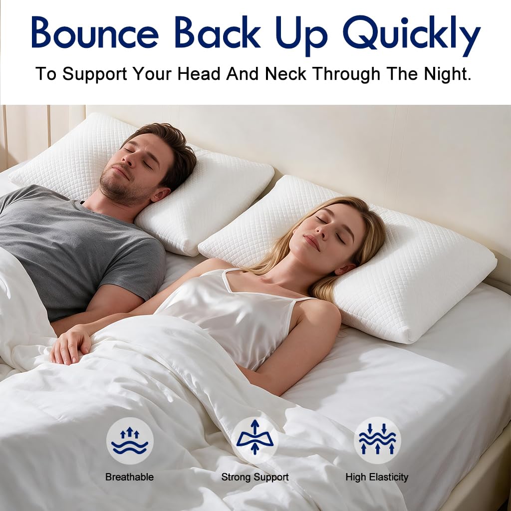 King Size Down Alternative Pillows Set of 2 U18604