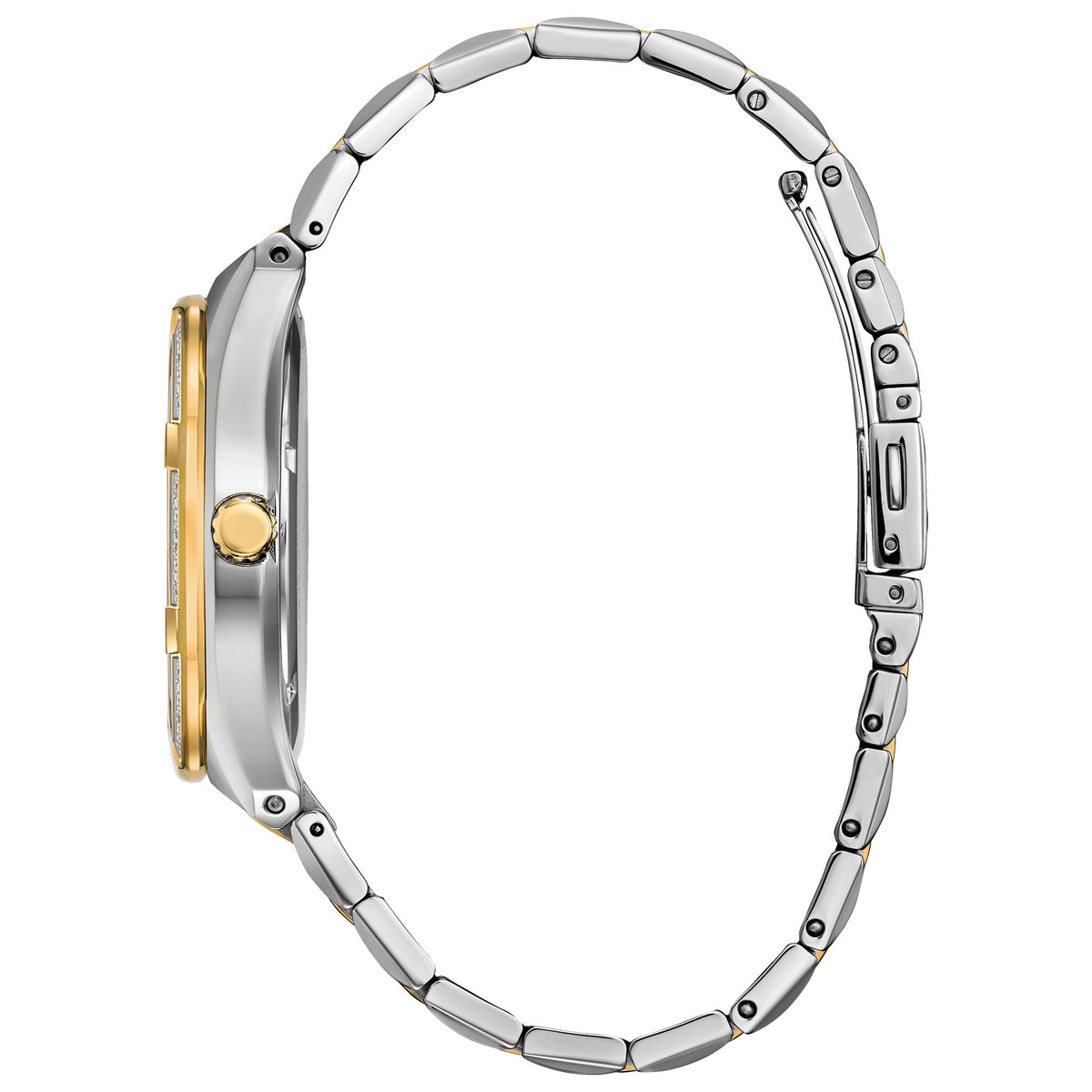 Two-Tone Stainless Steel Diamond Bezel Watch N283500
