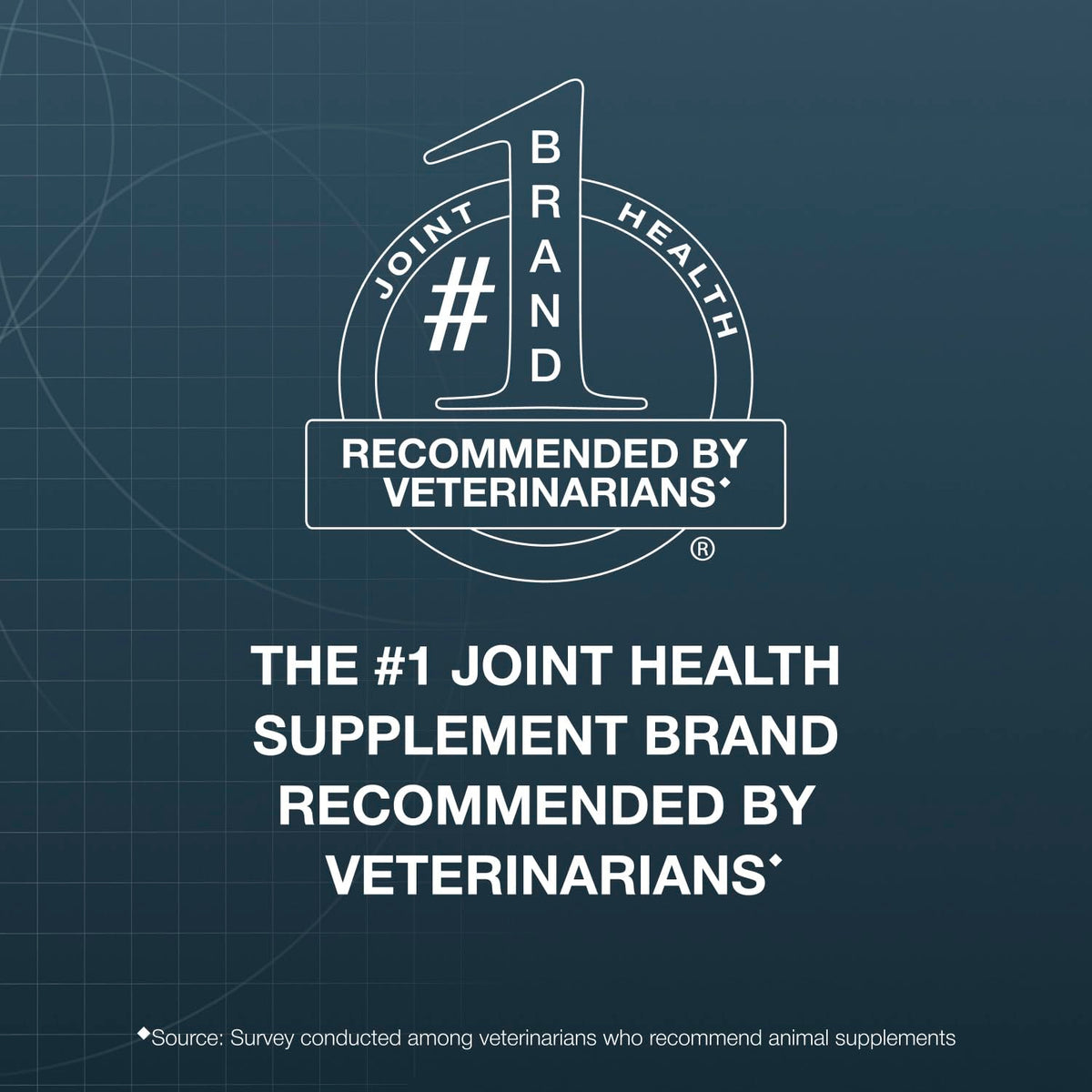 Joint Supplement Chew Tablets 84ct K886870