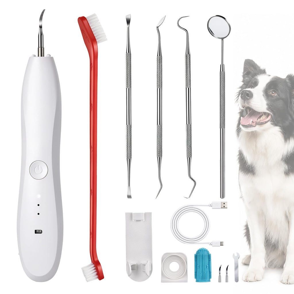 Dog Tartar Ultrasonic Teeth Cleaning Kit S94971