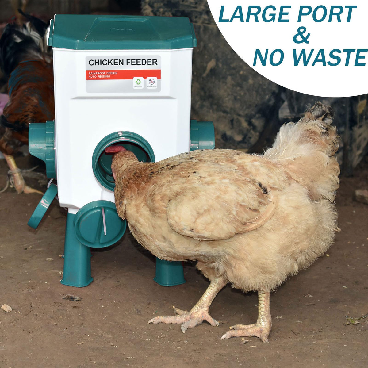 Automatic Chicken Waterer & No Waste Feeder Kits, 3 Gallon T8458