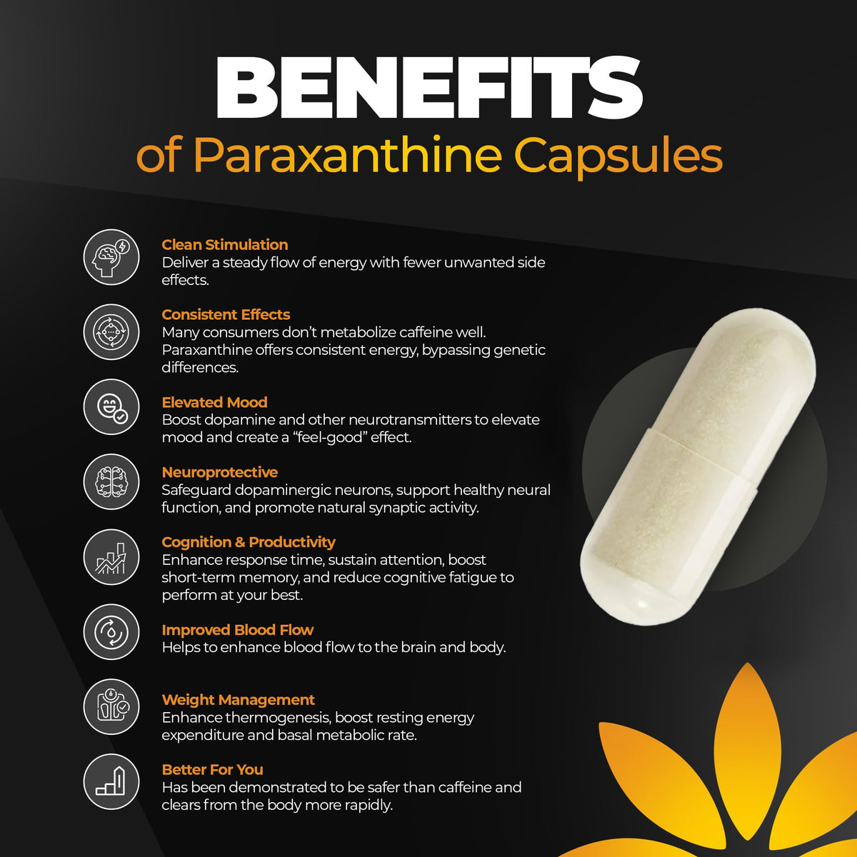 200 mg Paraxanthine Capsules A16684