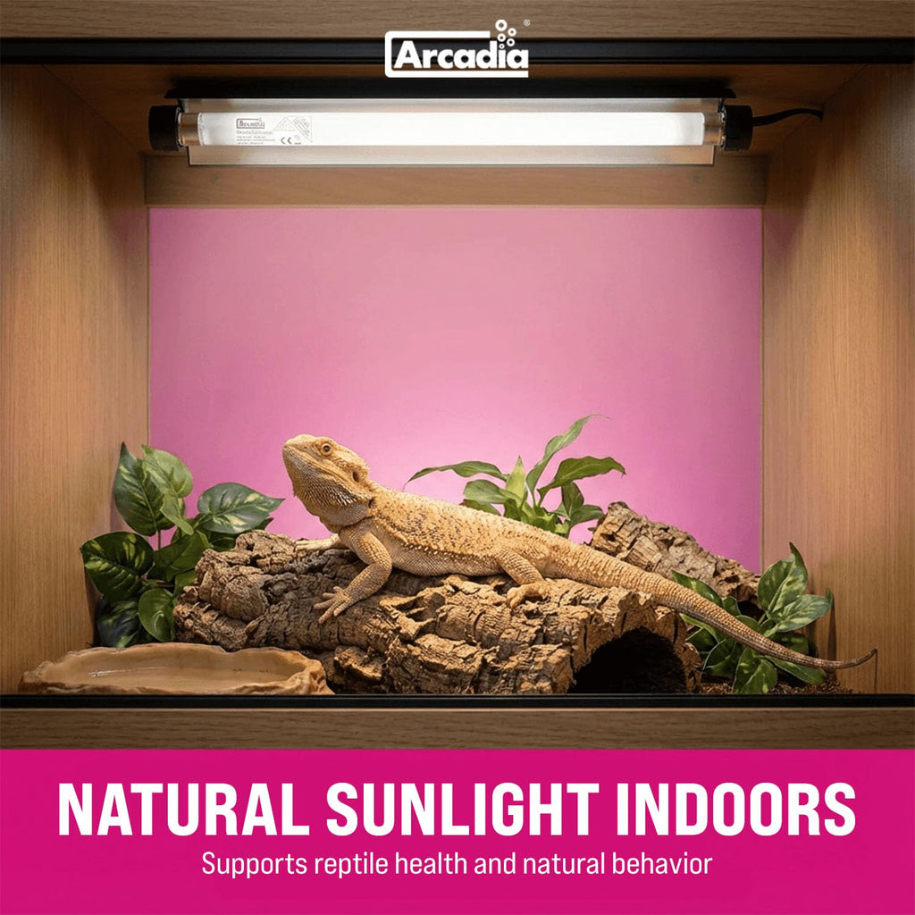 12" 8 Watts 7% UVB Reptile Light Fixture Kit X57914