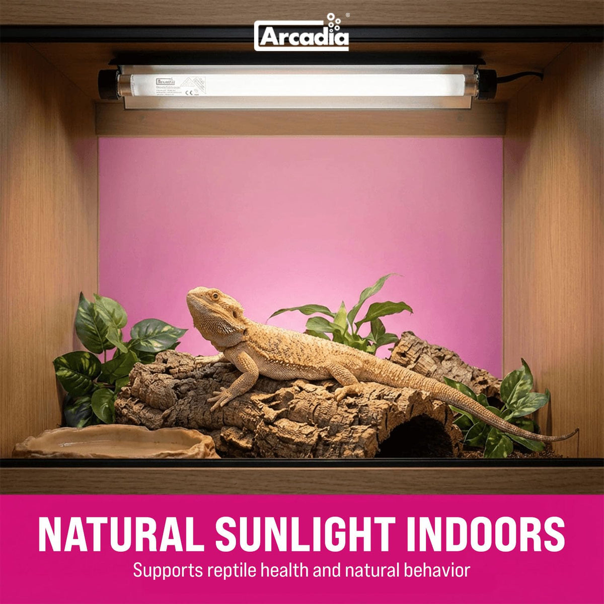 12" 8 Watts 7% UVB Reptile Light Fixture Kit X57914
