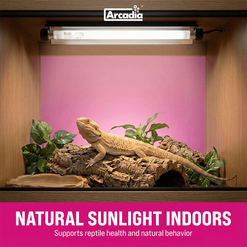 12" 8 Watts 7% UVB Reptile Light Fixture Kit X57914