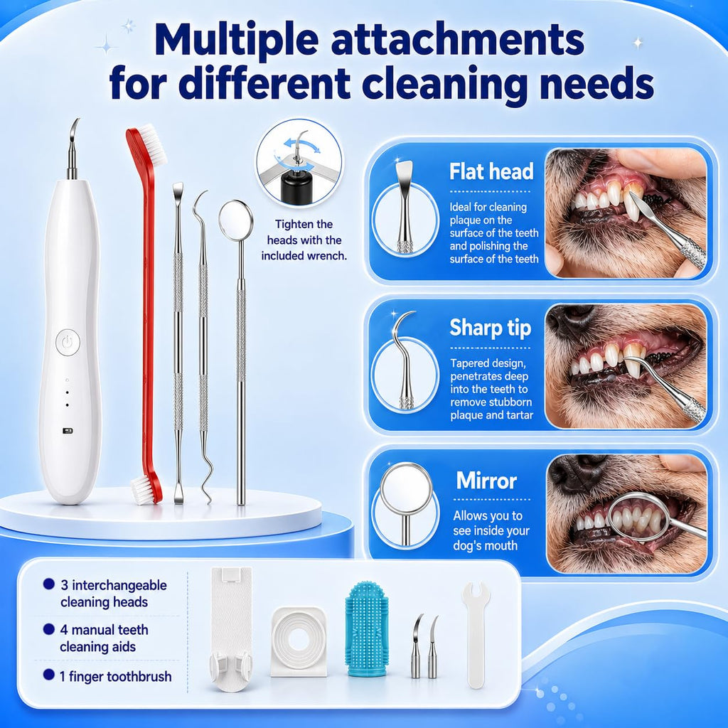 Dog Tartar Ultrasonic Teeth Cleaning Kit S94971