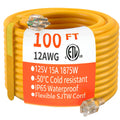 100 FT 12/3 Gauge Heavy Duty Outdoor Extension Cord Waterproof T14289