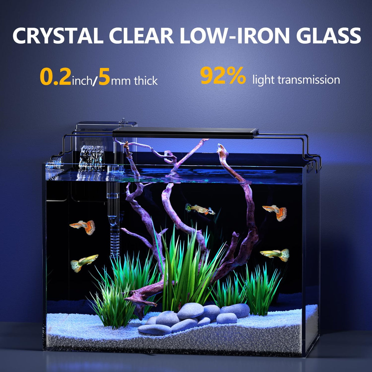 5 Gallon Glass Fish Tank Kit with Filter Light M2041