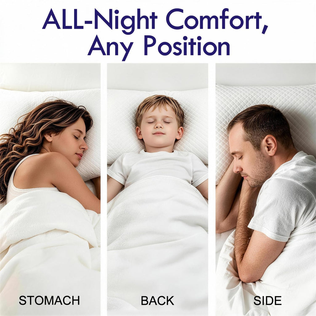 King Size Down Alternative Pillows Set of 2 U18604