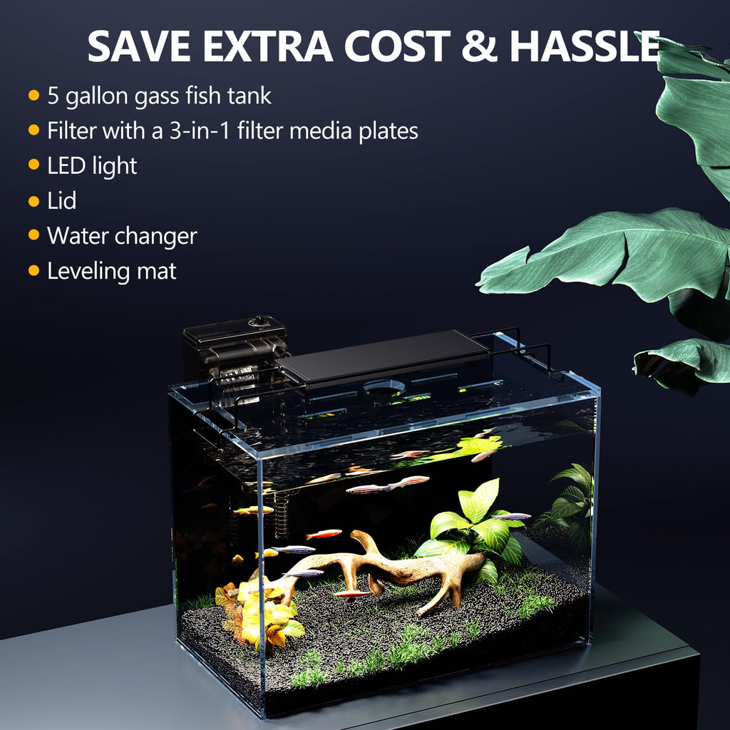 5 Gallon Glass Fish Tank Kit with Filter Light M2041