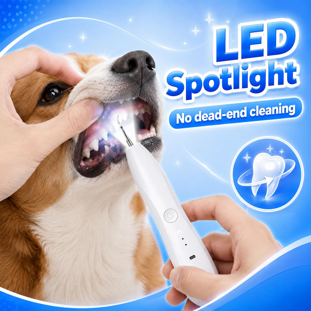 Dog Tartar Ultrasonic Teeth Cleaning Kit S94971