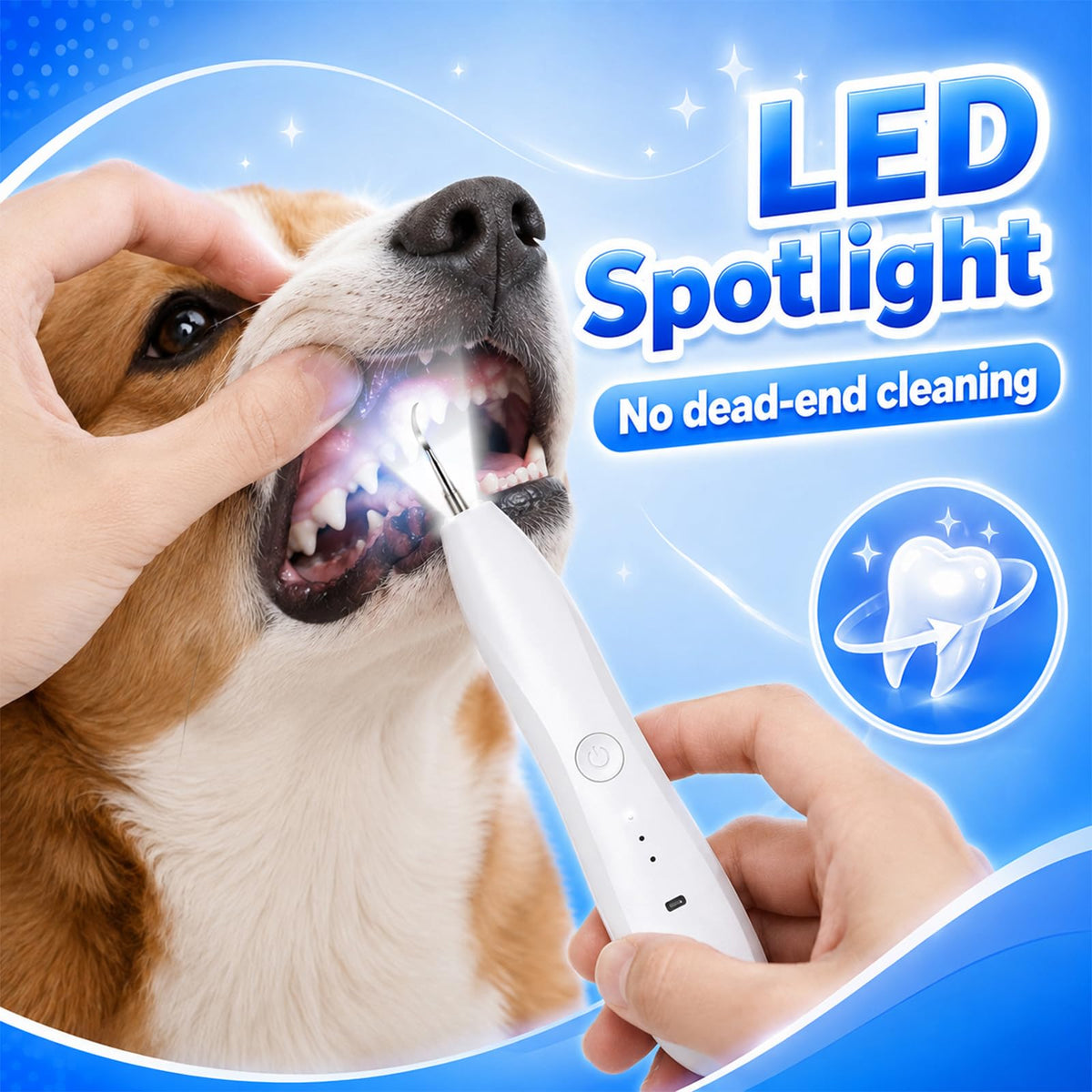 Dog Tartar Ultrasonic Teeth Cleaning Kit S94971