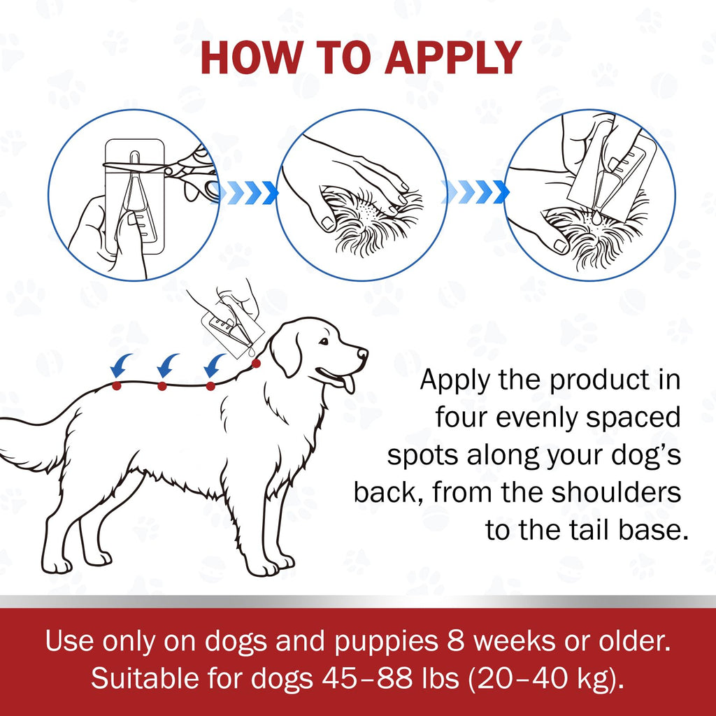 Large Dog Flea and Tick Prevention 6-Month Supply W6147