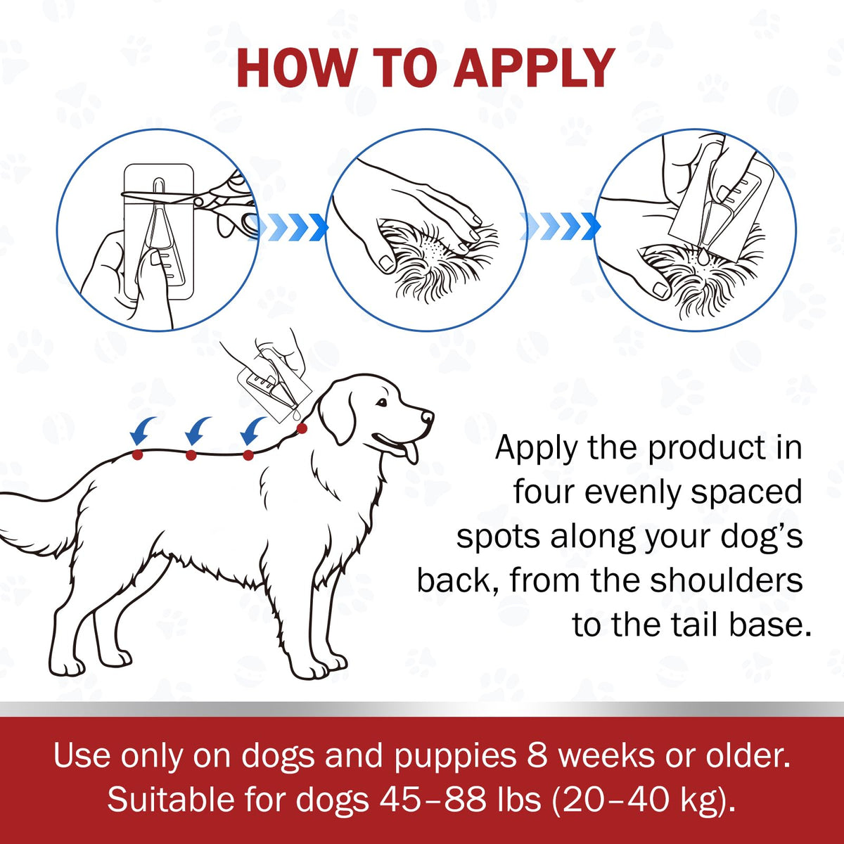 Large Dog Flea and Tick Prevention 6-Month Supply W6147