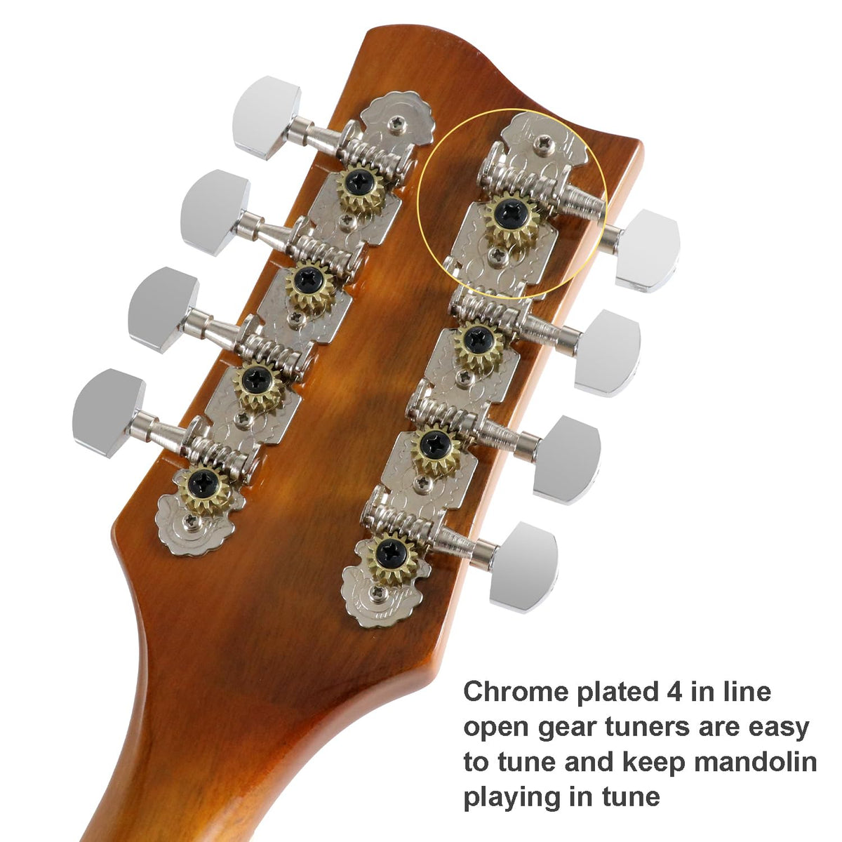 8 String Acoustic-Electric Mandolin Instrument with Pickup M806