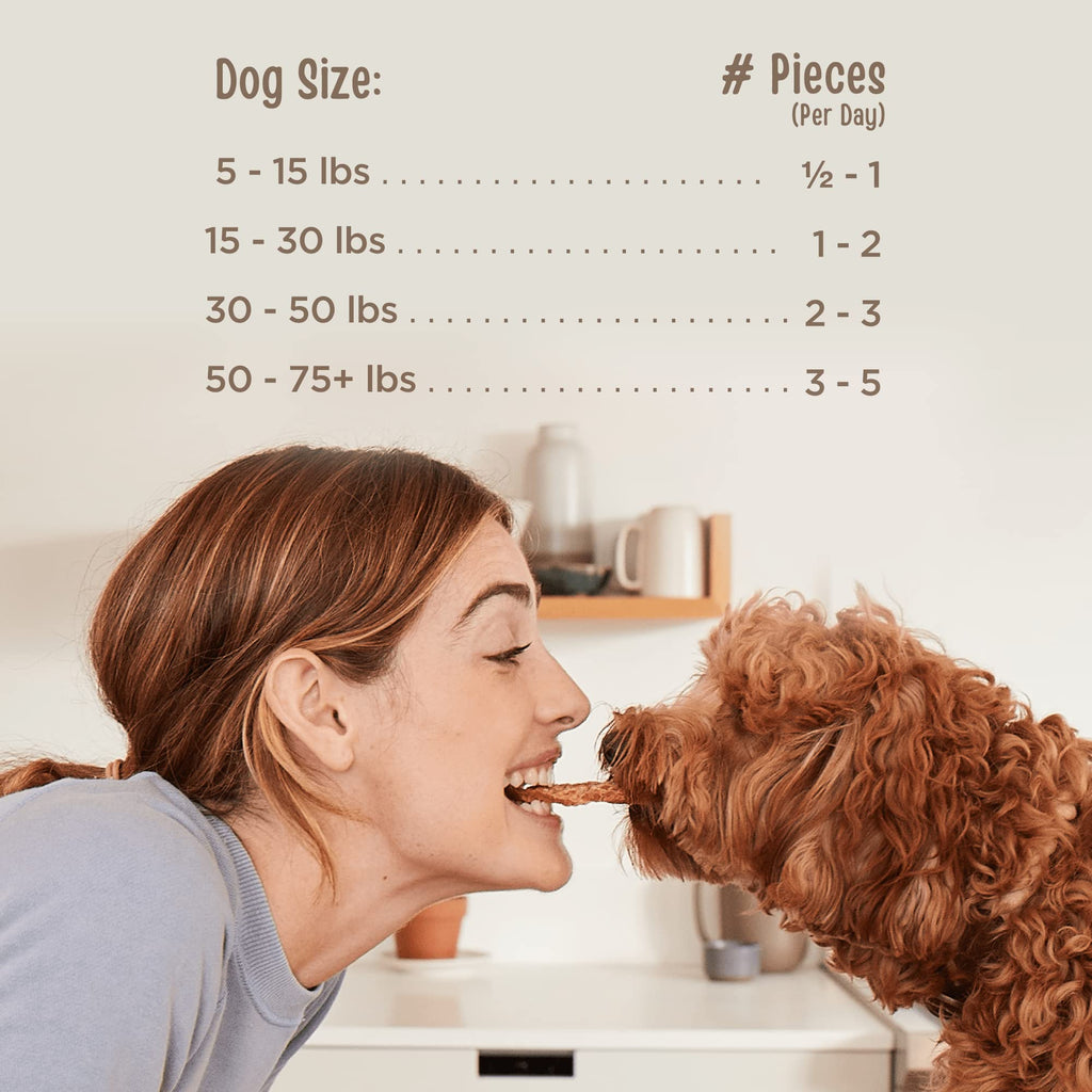 Chicken Jerky Tenders Dog Treats 26 oz M561