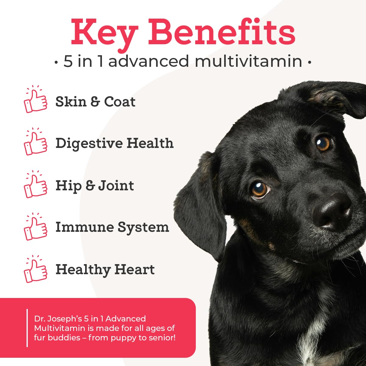 120 Count Dog Multivitamin Chew G6907
