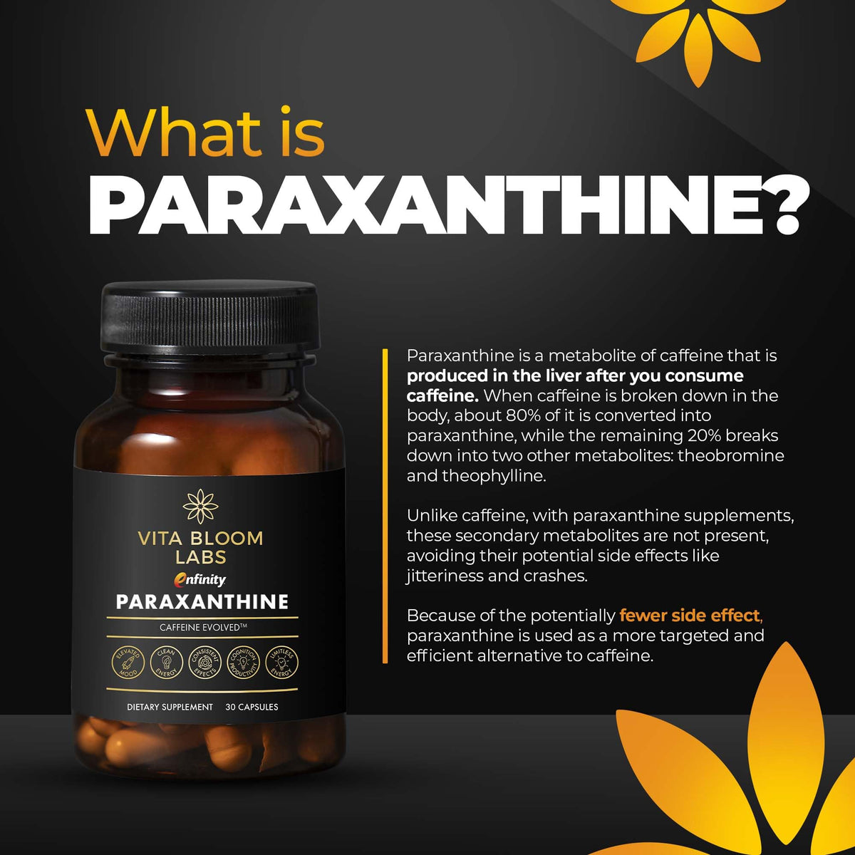 200 mg Paraxanthine Capsules A16684