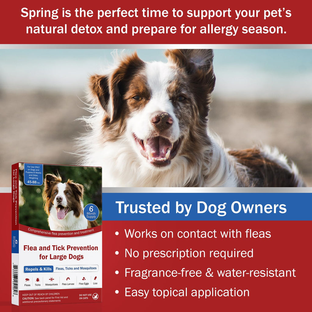 Large Dog Flea and Tick Prevention 6-Month Supply W6147