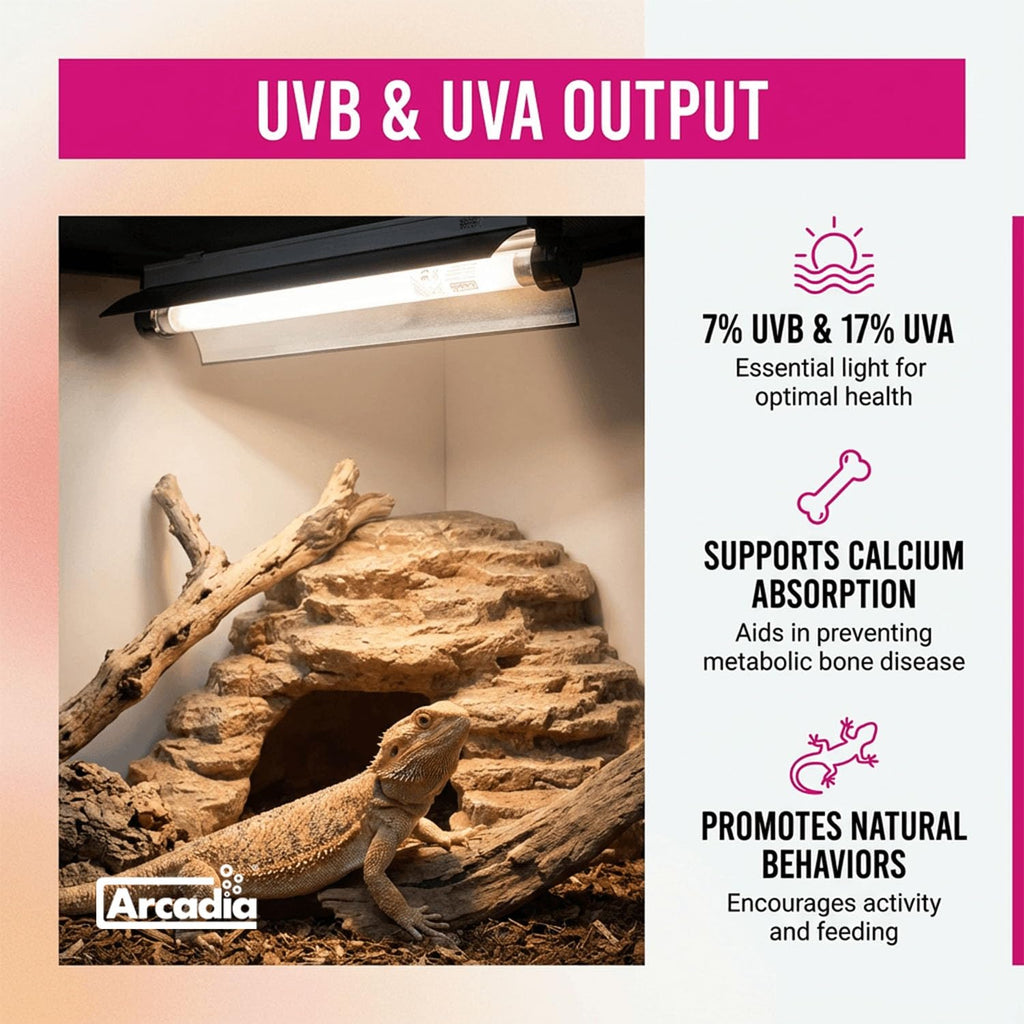 12" 8 Watts 7% UVB Reptile Light Fixture Kit X57914