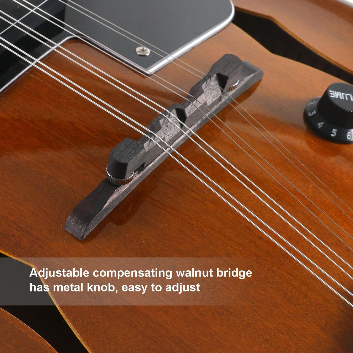 8 String Acoustic-Electric Mandolin Instrument with Pickup M806