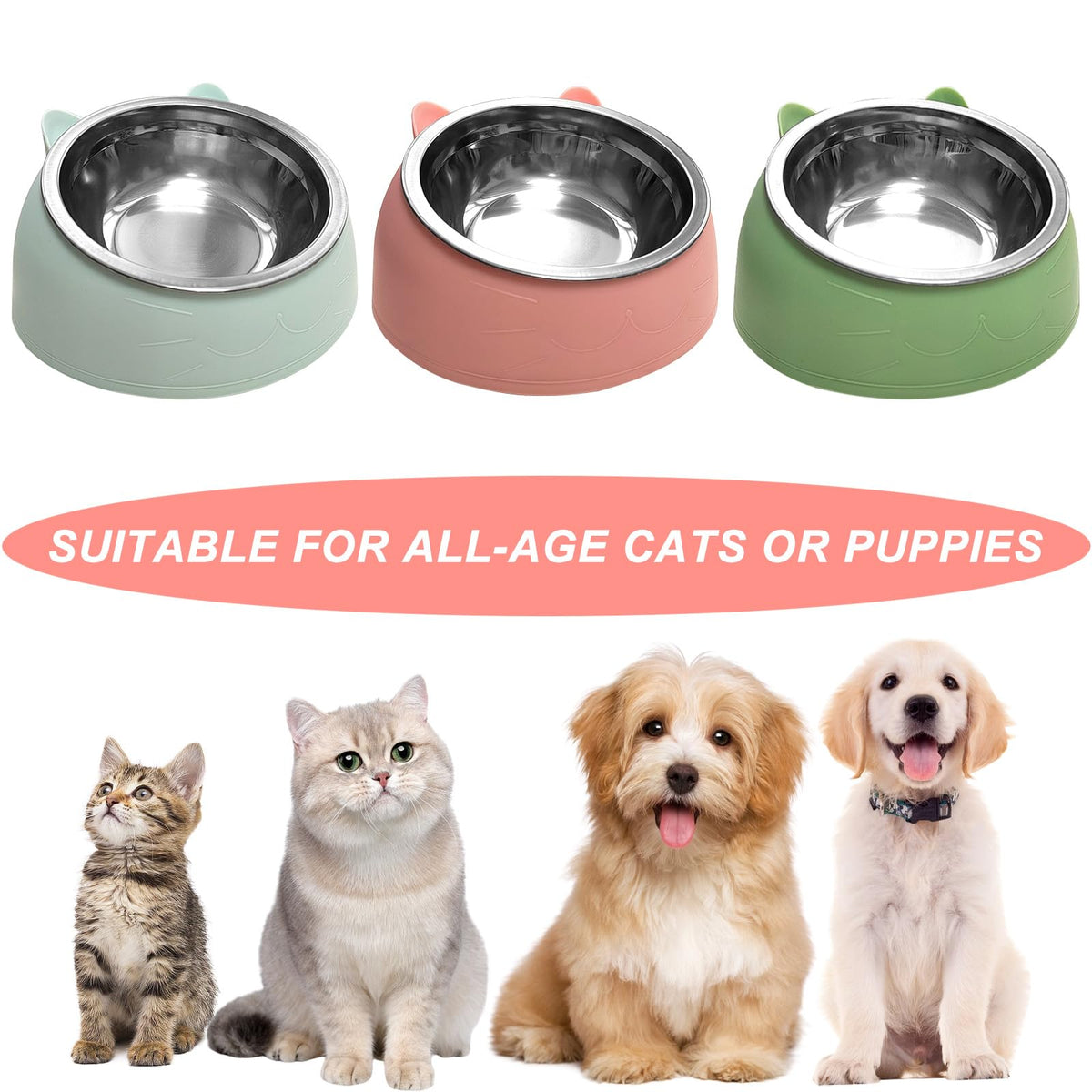 7 Pcs Stainless Steel Raised Cat Food Bowl N1095