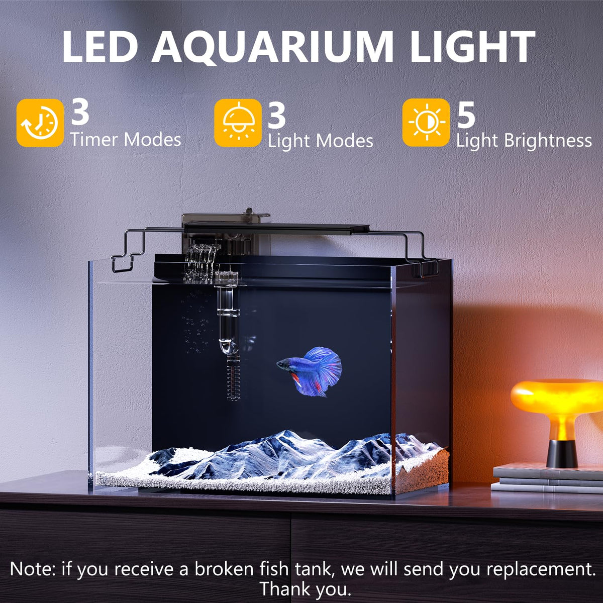 5 Gallon Glass Fish Tank Kit with Filter Light M2041