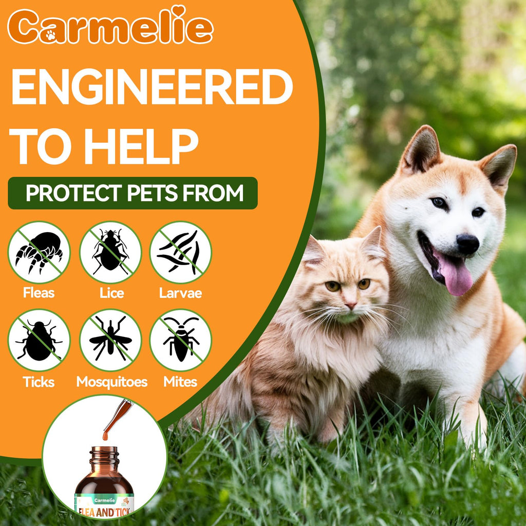 Flea and Tick Prevention for Dogs and Cats 60ml F1941