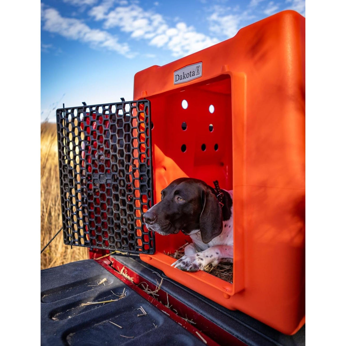 Orange Large Dog Crate V5061