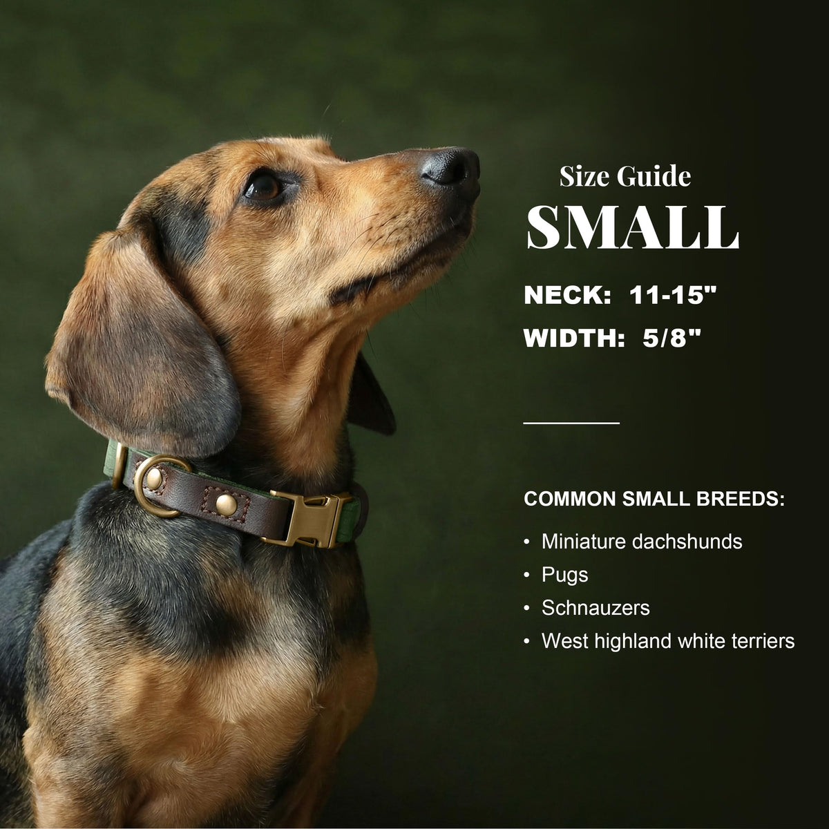 PU Leather Dog Collar H781