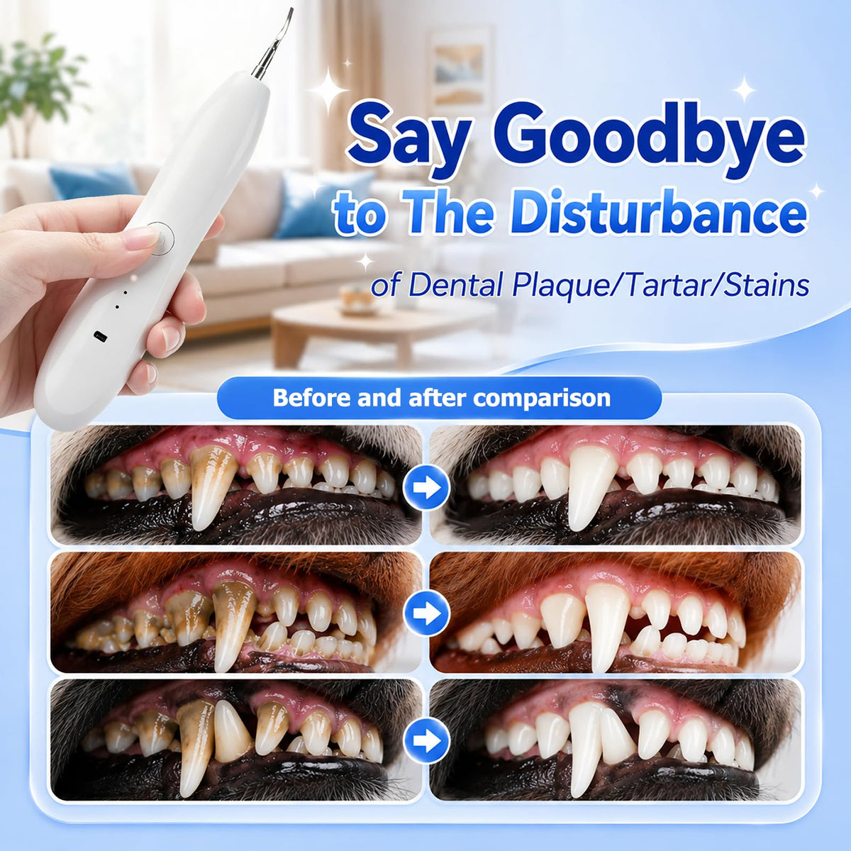 Dog Tartar Ultrasonic Teeth Cleaning Kit S94971
