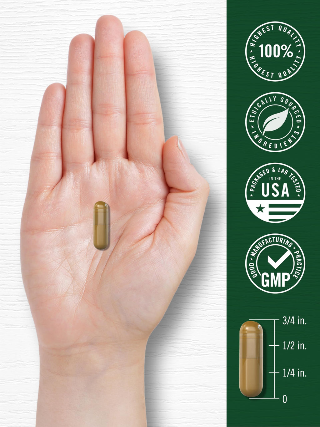 Cinnamon Complex with Gymnema and Mulberry 150 Capsules Y93110