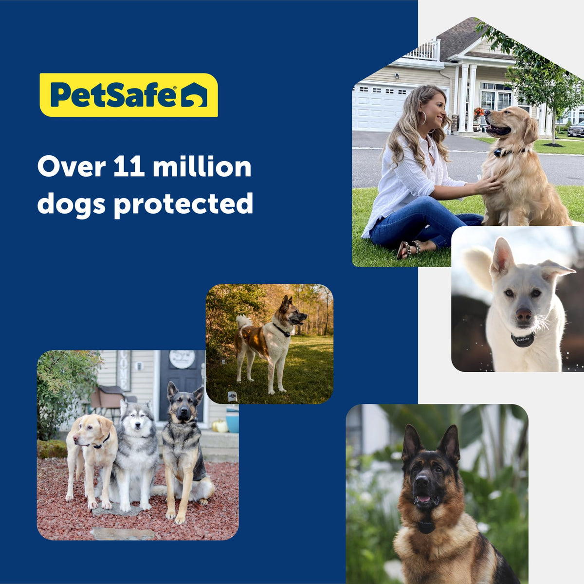 In-Ground Fence for 2 Dogs H571