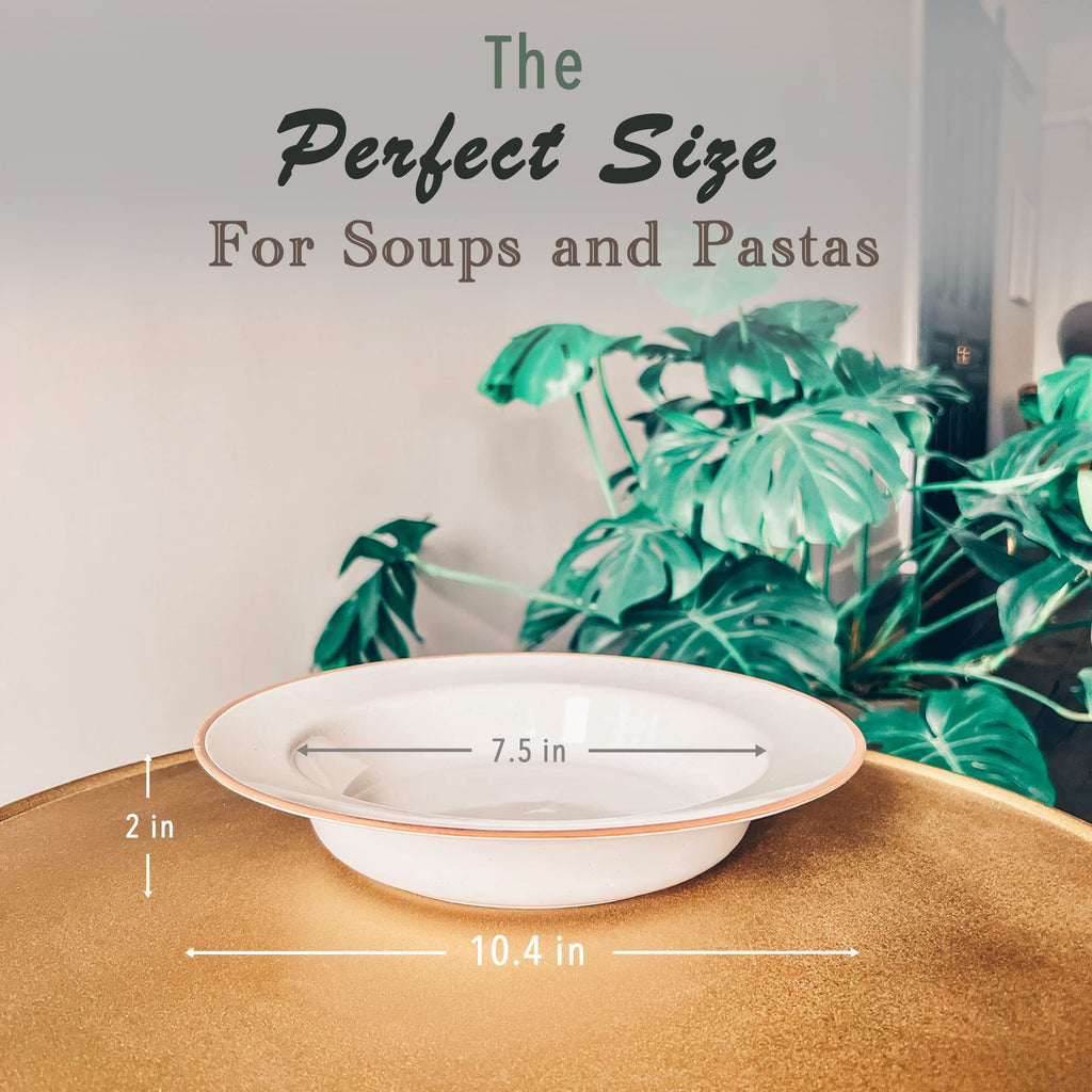 Ceramic Wide Rimmed Soup Bowl 25oz Set of 4 V55067
