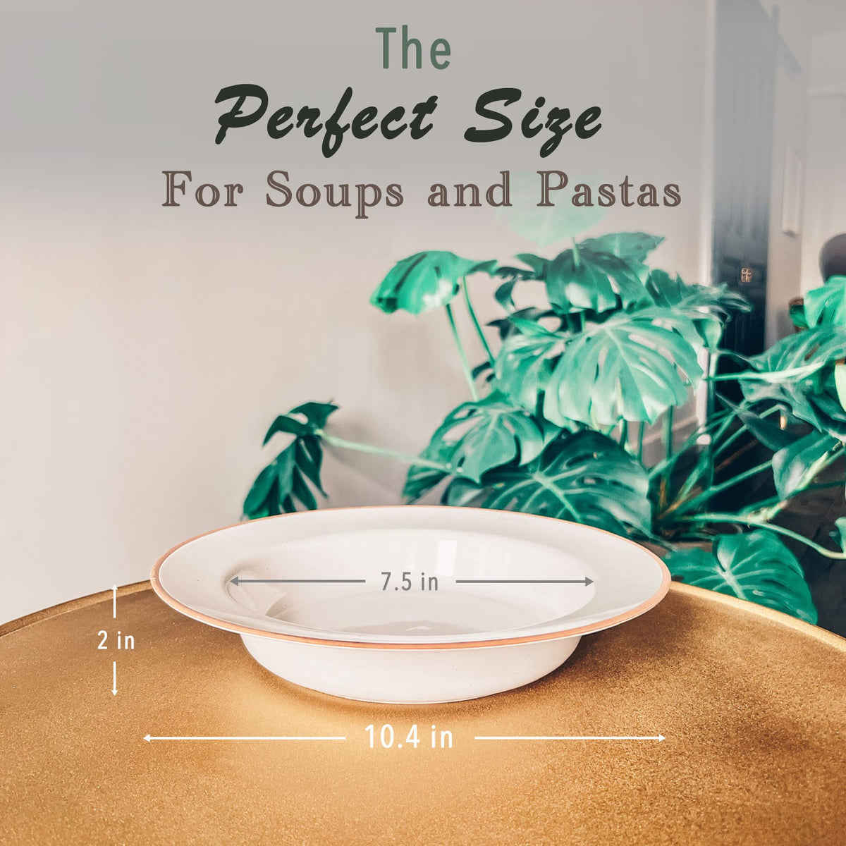 Ceramic Wide Rimmed Soup Bowl 25oz Set of 4 V55067