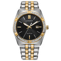 Two-Tone Stainless Steel Diamond Bezel Watch N283500