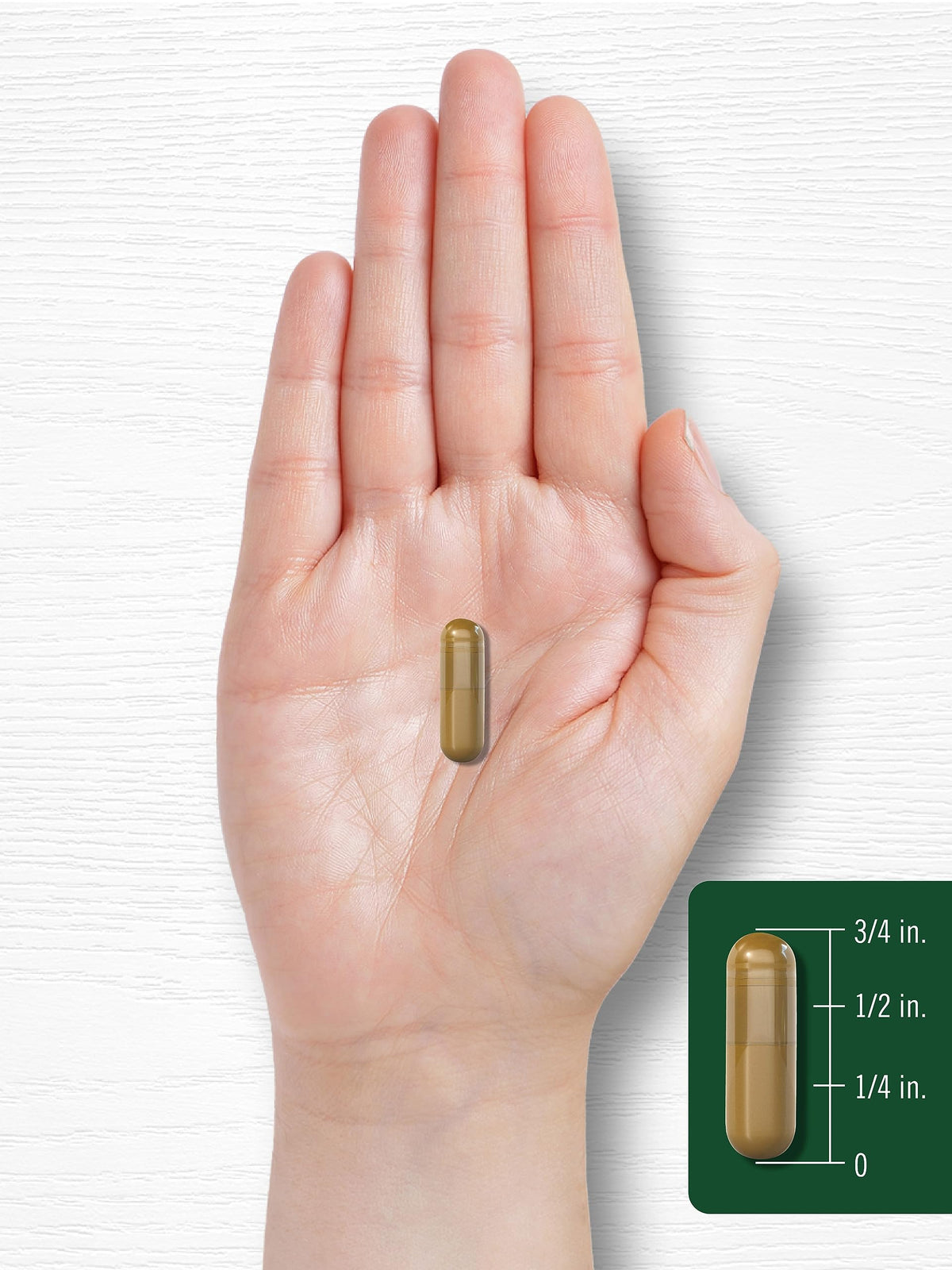 Cinnamon Complex with Gymnema and Mulberry 150 Capsules Y93110