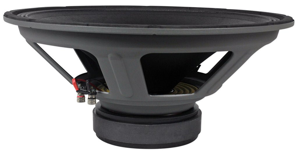 18" Raw DJ PA Replacement Subwoofer H199