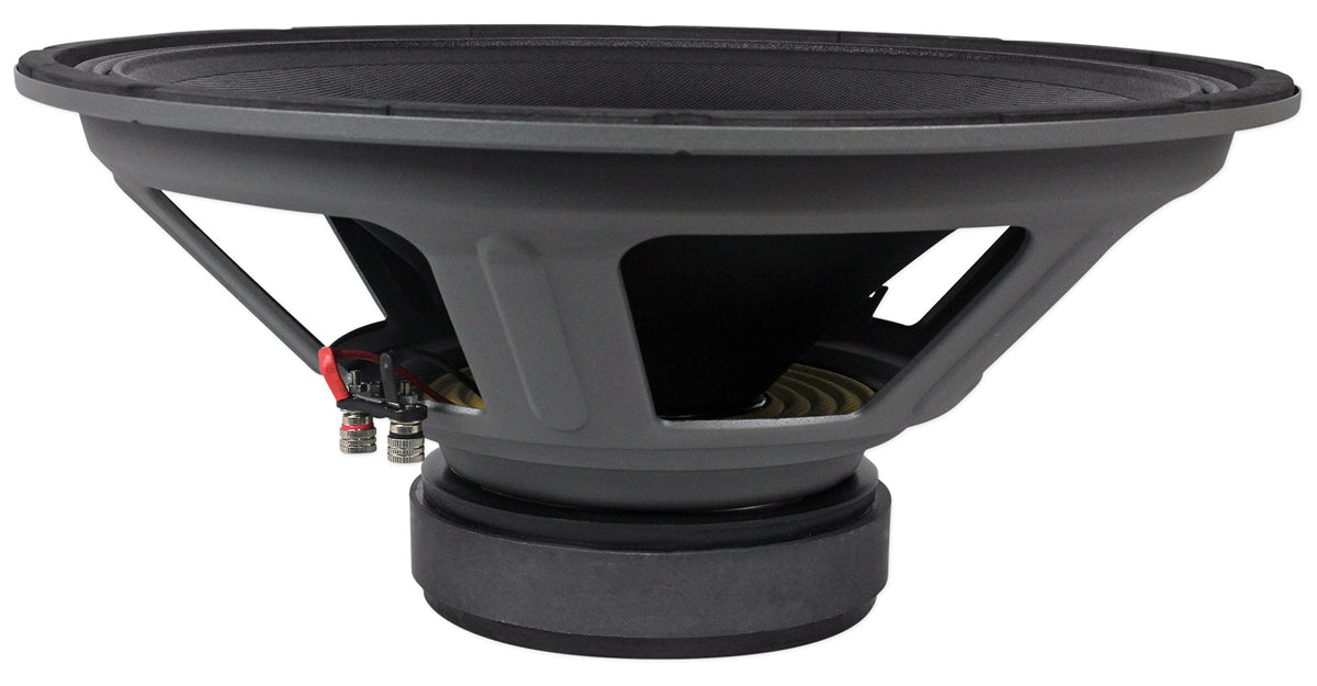 18" Raw DJ PA Replacement Subwoofer H199
