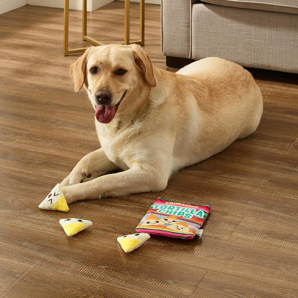 Tortilla Chips Puzzle Squeaky Dog Toys B93835