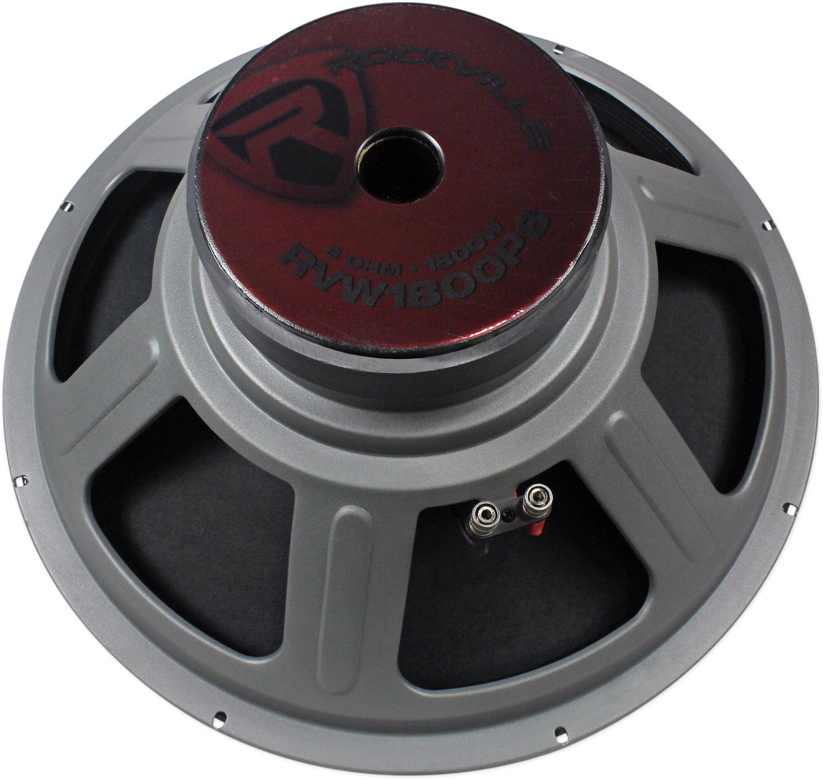 18" Raw DJ PA Replacement Subwoofer H199