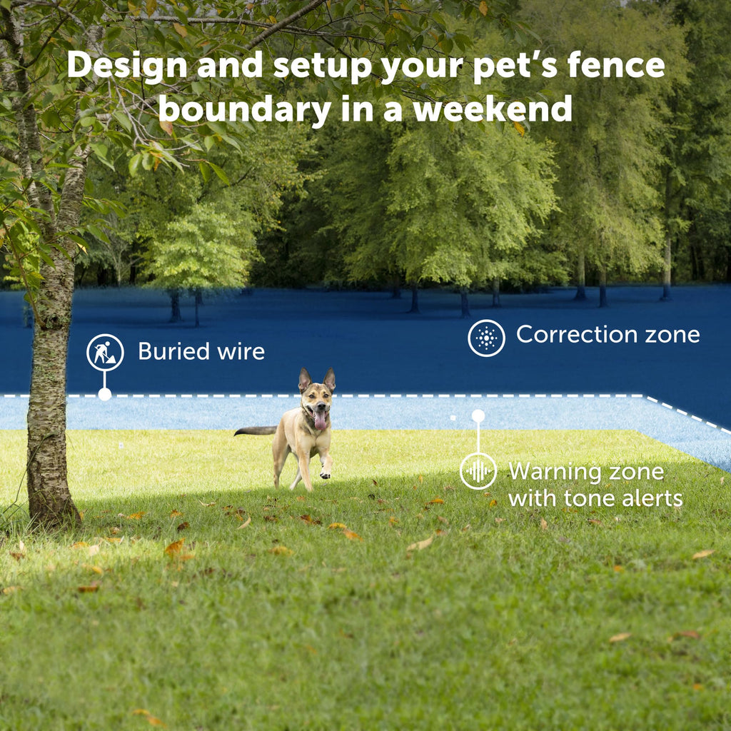 In-Ground Fence for 2 Dogs H571